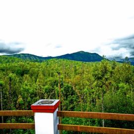 Memories of Malnad, hotel a Chikmagalūr