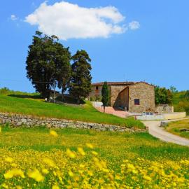 Holiday Home Locazione Turistica Selvapiana by Interhome, hotelli Greve in Chiantissa