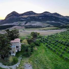 MULINU BIANCU