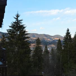 Біла хата, hotel in Iltsi