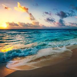 1 Schlafzimmer Ferienwohnung am Strand