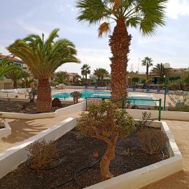 Las Torres Del Castillo-120 Palms