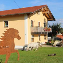 Ponyhof Adam Urlaub auf dem Bauernhof