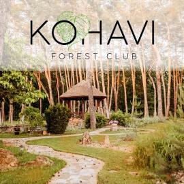 Kohavi Forest Club, hotel din Orlovshchina