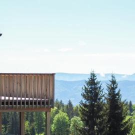 Das Koralpenchalet, hotel in Trahütten