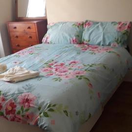 New Find Guest House M22