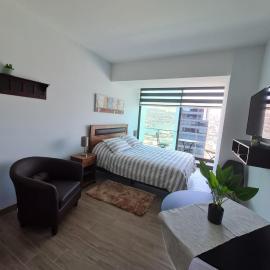 Hermoso departamento estudio ubicación inmejorable