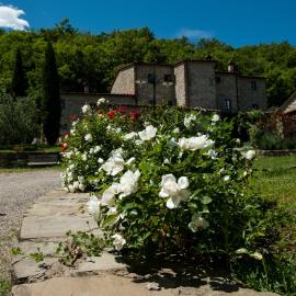 Agriturismo Azienda Agricola Il Pozzo, hotel v destinaci Capolona