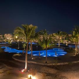 Diamond Forest Island Hawana