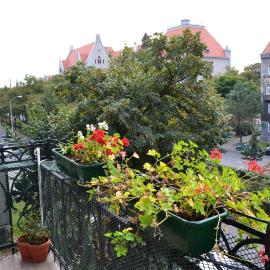City center, sunny spacious luxury!, hotel in Szczecin