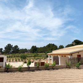 Aptos rurales Can Pep de Sa Barda - Viñedos y tranquilidad, hotel in Sant Francesc Xavier