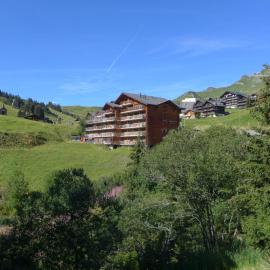 Apartment Sundance 10 by Interhome, hotel in Les Crosets