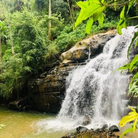 River Splendour Home Stay