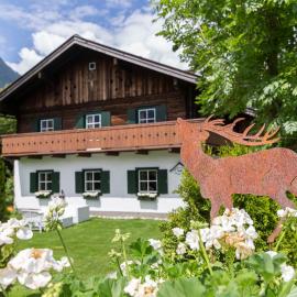 Forest Chalet, all famous ski areas around us, 15 min to city of salzburg, mountainview, panorama sauna, bath whirlpool, fire pit in garden up to 10 p، فندق في غولنغ آن دير سالزاخ