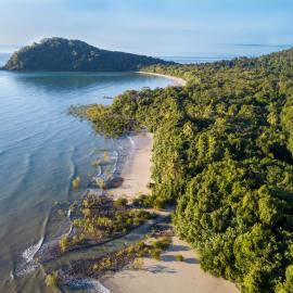 Cape Trib Beach House, hôtel à Cape Tribulation