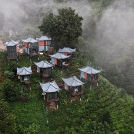 Twins Farm, hotel v destinácii Mae Salong