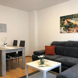 Gäste- & Ferienwohnungen in Sonderhausen Güntherstraße 25, hotel in Sondershausen