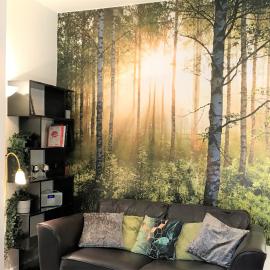 Central Wigan welcoming Townhouse sleeps up to 6