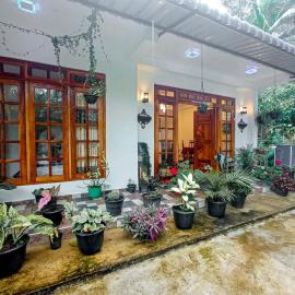 Daffodils Inn, hotel en Nallathanniya