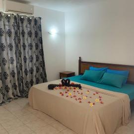 Viksh Seaview Apartment, hotel in Rivière Noire