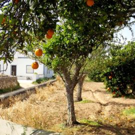 Casas do Pomar