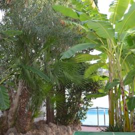 IL Kent, hotel i Ischia Town