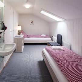 Basic Rooms Jungfrau Lodge: Grindelwald'da bir otel