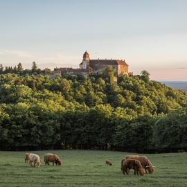 Burg Bernstein，Bernstein的飯店