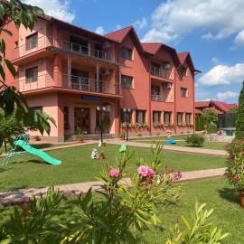 Pensiunea Viitorul, hotel em Baia de Fier