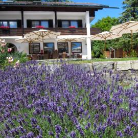 Seehof Apartments, hotel en Walchensee