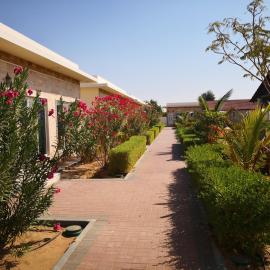 Almorouj Farm inn - Bidiya, hotel v mestu Badīyah