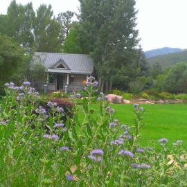 Apple Orchard Inn, hótel í Durango