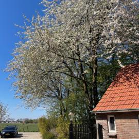 Viesnīca B&B Driel pilsētā Driel