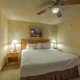 Grand Lodge Condo in the Heart of Mt Crested Butte condo