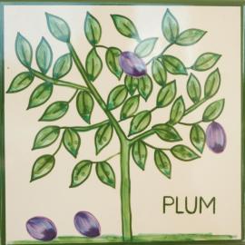 Casa Monte Cristo Apartments - Plum