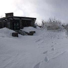 The Lions Lair Lodge