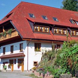 Apartment Rotkehlchen by Interhome