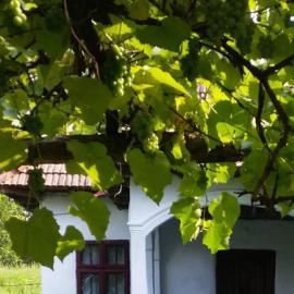 Pridvorul lui Viorel, hotel in Proviţa de Sus