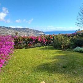 Belvedere Boutique - Adults only, hotel in Funchal