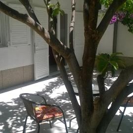 Apartment Anđelka