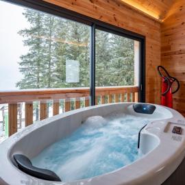 Chalet Pom'Pin, hotel en Mont-Dore