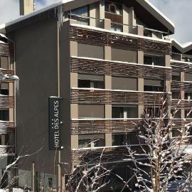 Hotel des Alpes, hotel in Flims