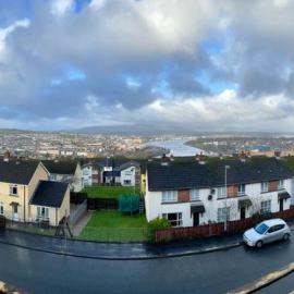 The View
