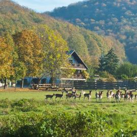 Pension Margarete, hotel em Handthal
