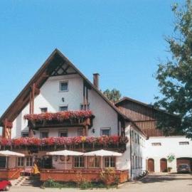 Gasthaus zur Traube, Hotel in Winterrieden