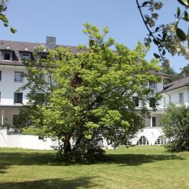 Haus Venusberg Jugendbildungsstätte Bonn, hotel v Bonne