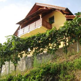 Vineyard Cottage Ucman, hotel a Otočec