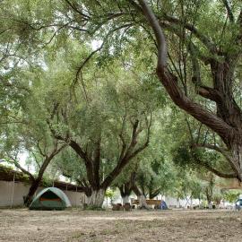 Camping Koula, hotel in Parikia