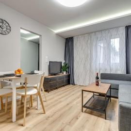 Central Platinum Apartments 16، فندق في ريبنيك