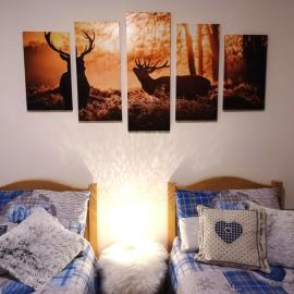 My sweet home in the Dolomites - Appartamento Valmaor